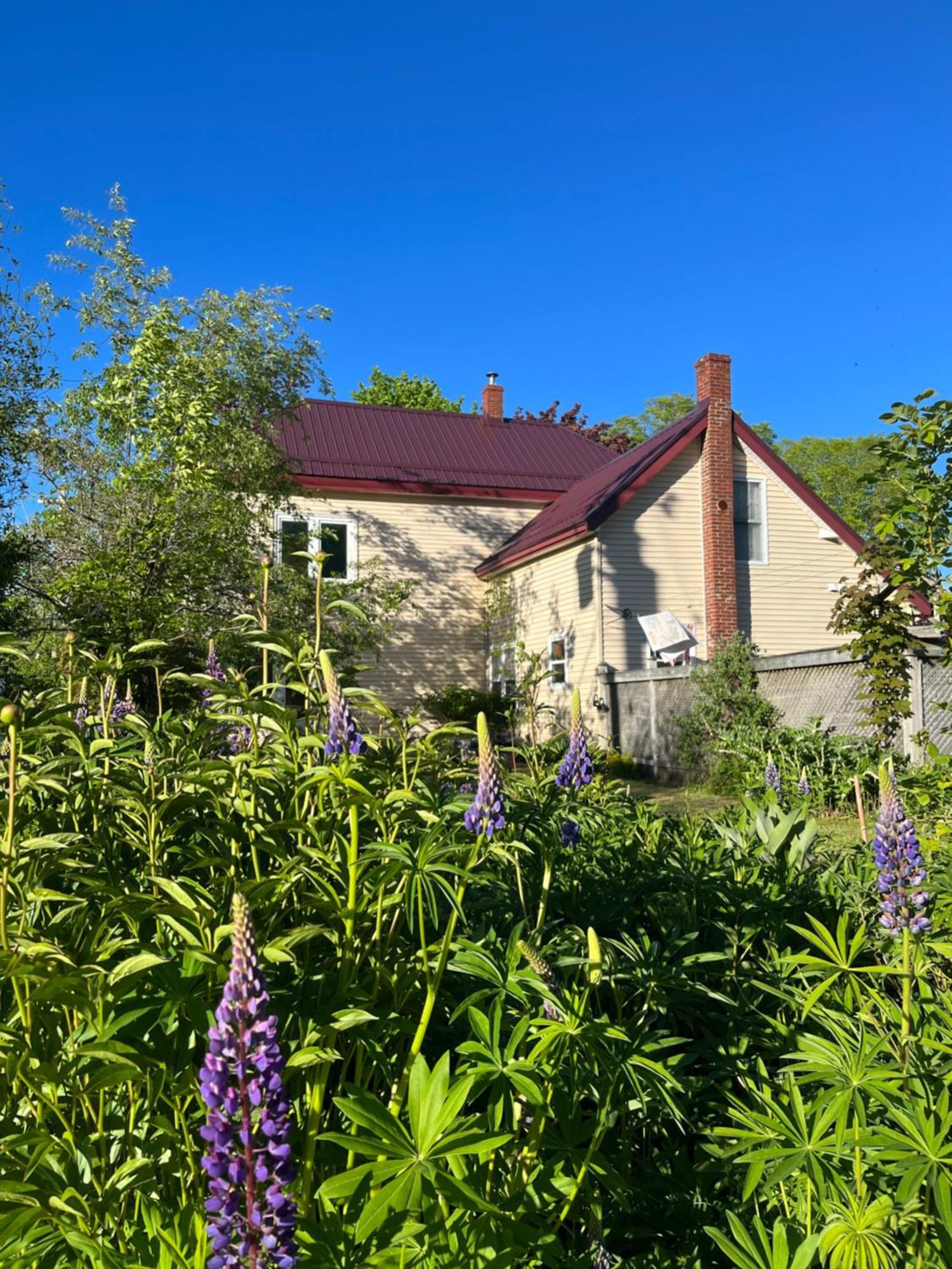 B&B Art Of Germany Caledonia Exterior photo